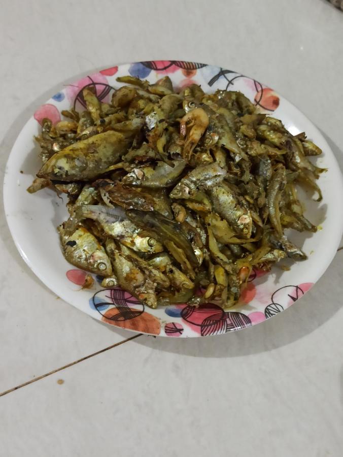 Assam Villa - By Storyweavers Retreat Jorhāt Zewnętrze zdjęcie